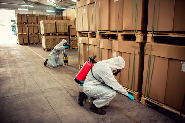 Best Pest Control for Homes  in Kyle, SD