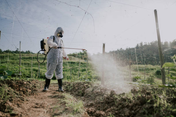 Best Ant Control Services  in Kyle, SD