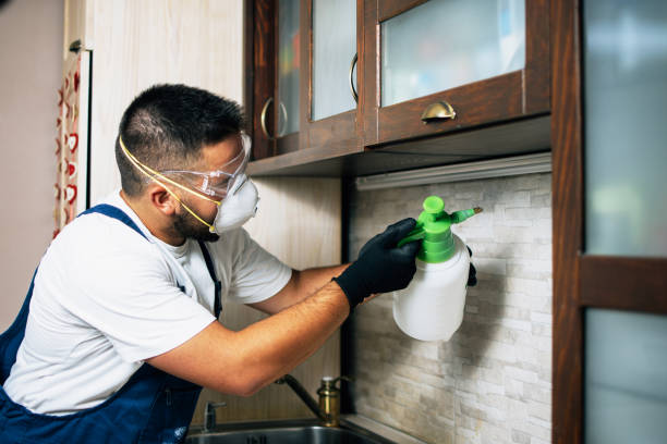 Best Pest Removal Services  in Kyle, SD