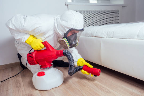 Best Insect Control  in Kyle, SD