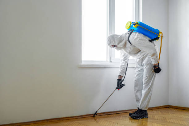 Best Residential Pest Control  in Kyle, SD