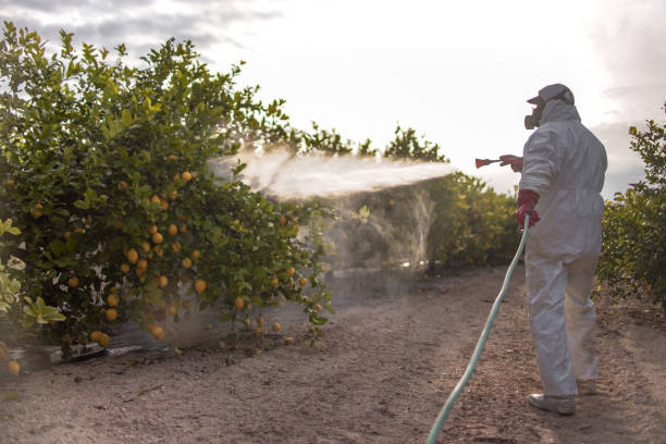 Best Wildlife Control Services  in Kyle, SD
