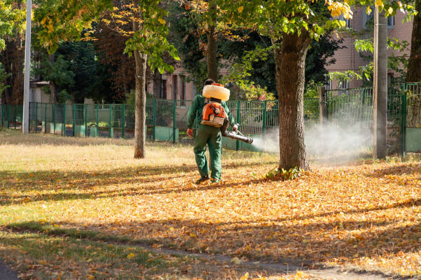 Best Bed Bug Extermination  in Kyle, SD