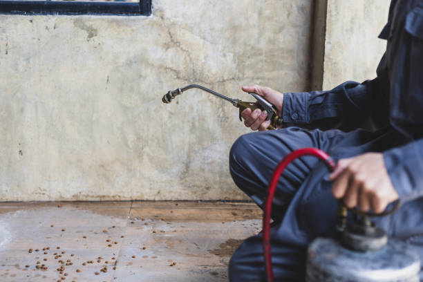 Best Local Pest Control Services  in Kyle, SD